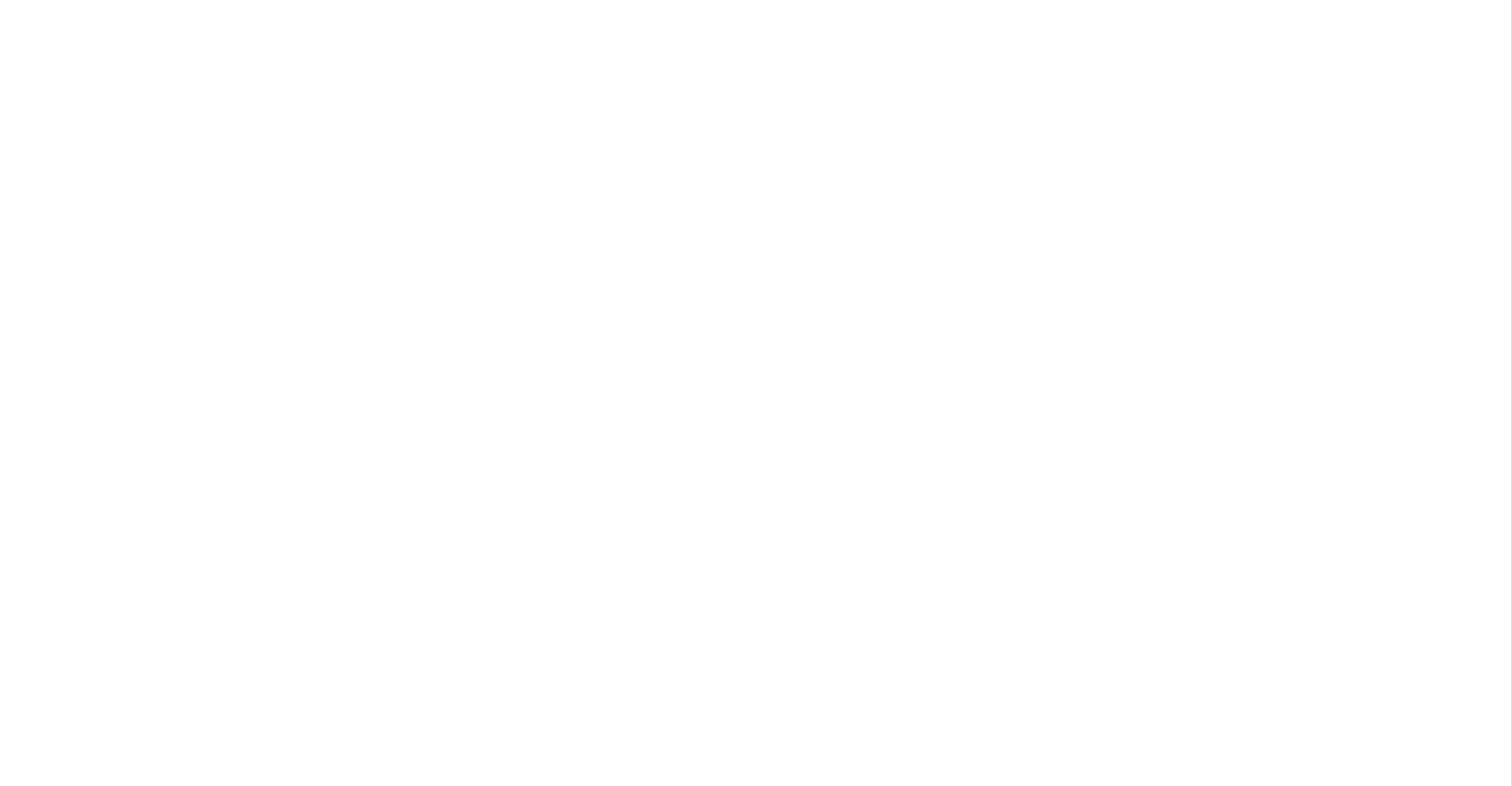 VOIR_LOGO_FINAL2
